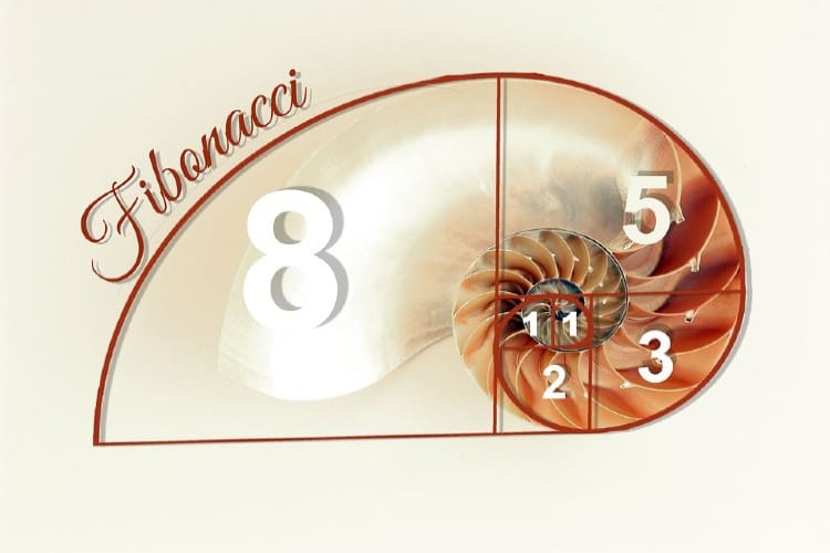 fibonacci betting